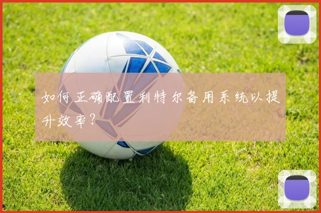 如何正确配置利特尔备用系统以提升效率？